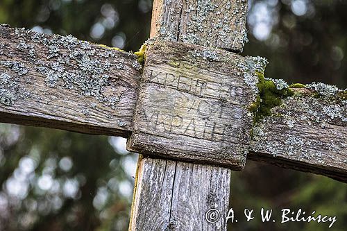 Krzyż na starym cmentarzu, Sokołowa Wola, Bieszczady