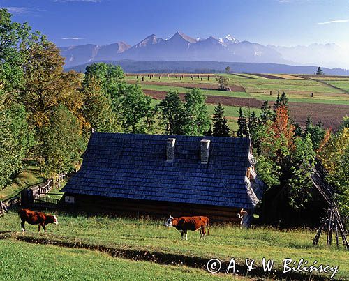 Spisz i Tatry, wieś Rzepiska