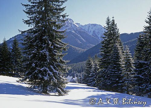 Tatry, Polana Chochołowska i Kominiarska