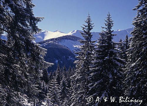 Tatry Zachodnie