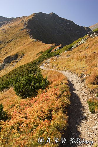 Tatry Siwa Przełęcz i Siwe Turnie w Ornaku