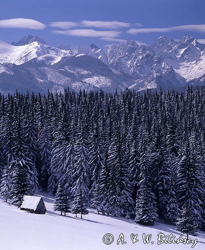 Panorama, Tatry z Głodówki