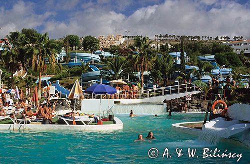 Wyspy Kanaryjskie, Octopus Aqua Park, Teneryfa