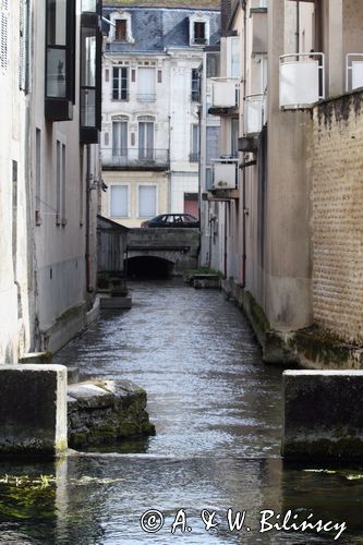 Strumień wypływający ze świętego źródła Fosse Dionne, Tonnerre, Burgundia, Francja Strumień wypływający ze świętego źródła Fosse Dionne, Tonnerre, Burgundia, Francja
