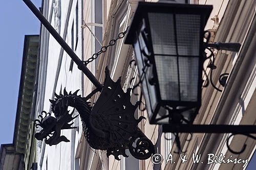 Toruń, Starówka, smok