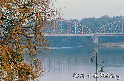 Wisła w Toruniu