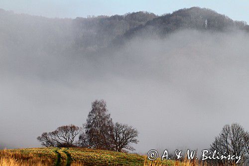 poranne mgły na Tworylnem pod Otrytem, Park Krajobrazowy Doliny Sanu, Bieszczady