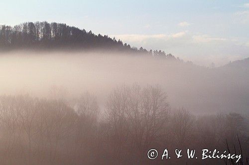 poranne mgły na Tworylnem pod Otrytem, Park Krajobrazowy Doliny Sanu, Bieszczady
