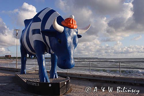 port Ventspils, krowa Marynarz, Łotwa