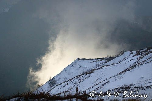 W chmurach, poranek na Wetlińskiej, Bieszczady