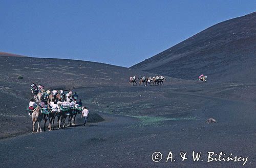 Wyspy Kanaryjskie, Lanzarote