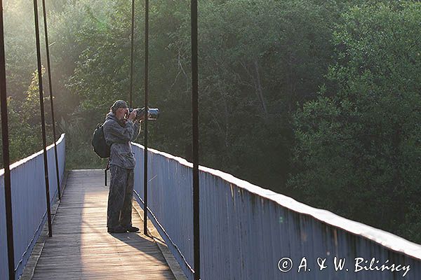 Fotograf przyrody, strój maskujący, kładka na Sanie, Bieszczady