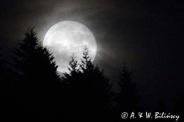 Wschód superksiężyca 15.11.2016