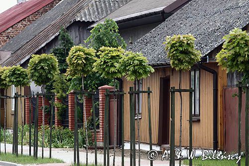 Wyśmierzyce, najmniejsze miasto w Polsce