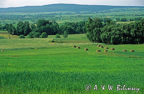 Wyżyna Małopolska Pasmo Jeleniowskie