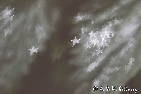 Zabawy macro