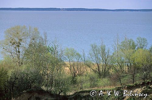 Nad Zalewem Wiślanym, widok z Tolkmicka