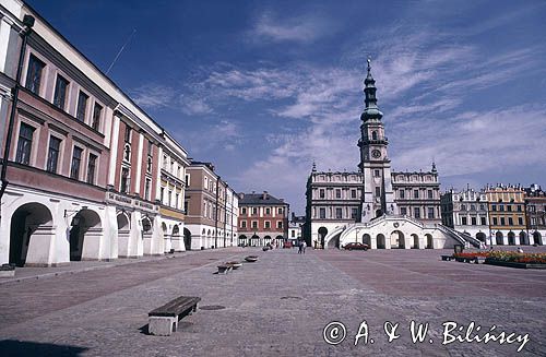 Zamość ratusz i kamienice, rynek