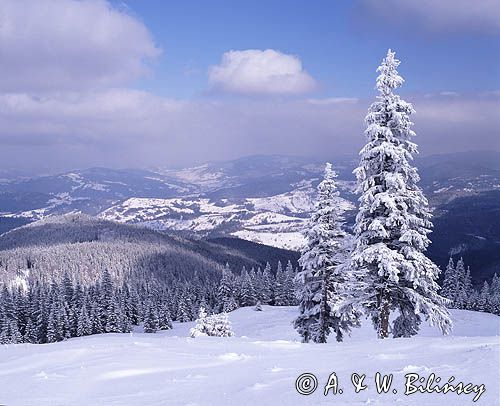na Hali Miziowej Pilsko Beskid Zywiecki