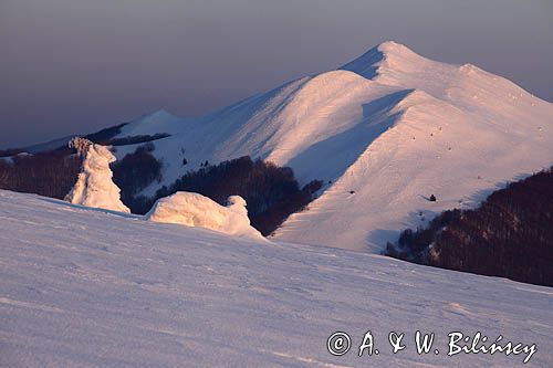 na Połoninie Wetlińskiej, Bieszczady, w tle Caryńska