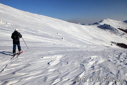 na stoku Halicza, w tle Rozsypaniec, Bieszczady