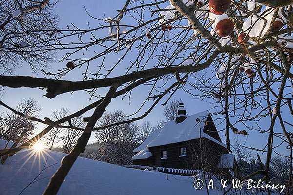Rajska jabłoń i cerkiew, kościółek w żłobku, zima, Bieszczady