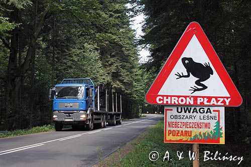 znak drogowy Chroń płazy, Roztocze Środkowe