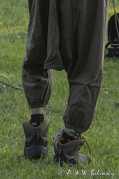 Koncert zespołu Żywi Joł w Polanie, Bieszczady