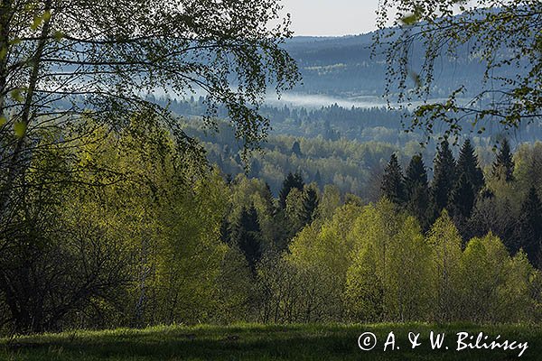 Widok z Żurawina na Połoniny, Bieszczady