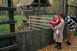 Puszcza Białowieska, Białowieża, rezerwat pokazowy żubrów