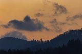 Las na Otrycie o świcie, Bieszczady