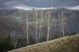 Widok z Polany, Bieszczady