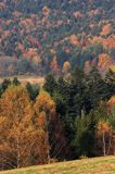 Bieszczady jesień Sokołowa Wola