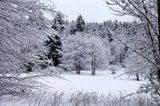 Zima, Bieszczady