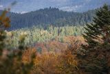 Bieszczady jesienne