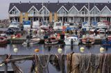 w porcie Hasle, wyspa Bornholm, Dania