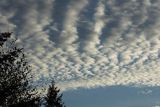 Chmury, altocumulus