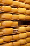 Gouda, ser Gouda, Holandia