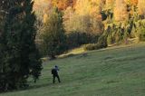 Fotograf przyrody, Bieszczady, Caryńskie