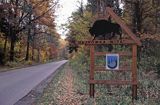 Hajnówka wita szyld, drogowskaz z herbem i żubrem