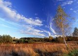 Kampinoski Park Narodowy, Kampinos, Mazowsze