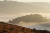 Park Krajobrazowy Doliny Sanu, Bieszczady