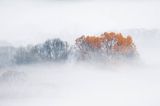 Jesień na Krywem, Bieszczady