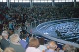 Litwa Kłajpeda Smiltyne - delfinarium