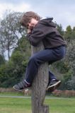 na placu zabaw, Lough Key Forest and Activity Park, rejon Górnej Shannon, Irlandia, Lough Key Forest and Activity Park