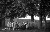 majowe przy krzyżu przydrożnym - wieś Ulów, Roztocze
