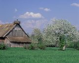 na wsi Mocarze, Kotlina Biebrzańska