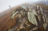 Na Osadzkim Wierchu, Bieszczady, Bieszczadzki Park Narodowy