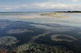 wybrzeże w Oster Hurup, Jutlandia, Kattegat, Dania