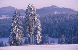 Pieniny zimą